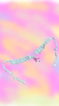 a white lace choker on a pink background
