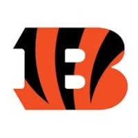 the cincinnati bengals logo