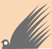 a pigeon on a beige background