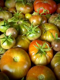 many tomatoes are piled together in a pile