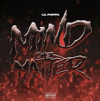 the cover of mind of matter by li poppa