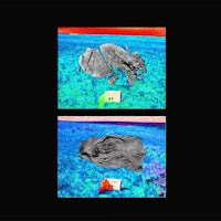 two images of a rhino laying in the grass