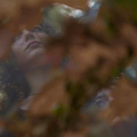 a woman with curly hair looking out of a leaf