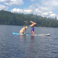 a woman and a dog on a paddle board in the water