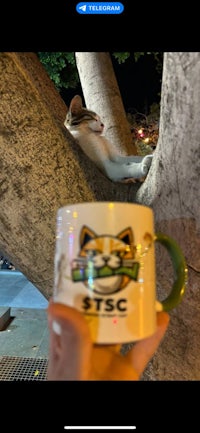 a person is holding up a coffee mug with a cat on it