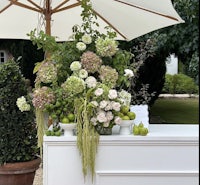 a white and green bar with a white umbrella