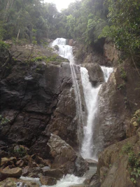 a waterfall in the middle of a forest