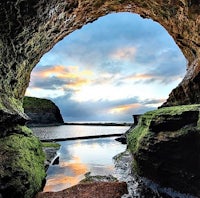 a cave with moss and water in it