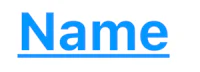 the word name in blue on a white background
