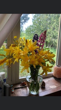 a vase of flowers on a window sill