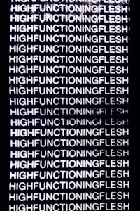 a black screen with the words'high functioning flesh'on it