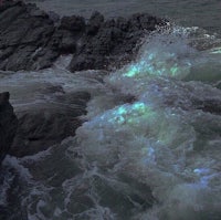 an image of a rocky shore with a blue glow in the water