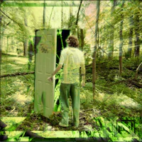 a man standing in the woods with a green door