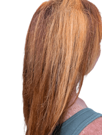 the back view of a woman with long brown hair
