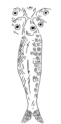 a black and white drawing of a fish