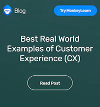 best real world examples of customer experience cx