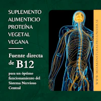 an image of a human body with the words supplemento almiento vegetal vegan b12
