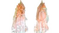 a pair of pink and white feathers hanging on a black background