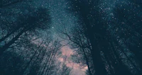 a night sky with stars and trees in the foreground