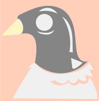 a black and white bird with a white collar on a peach background