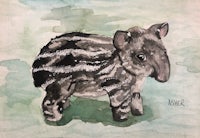 a watercolor painting of a baby tapir