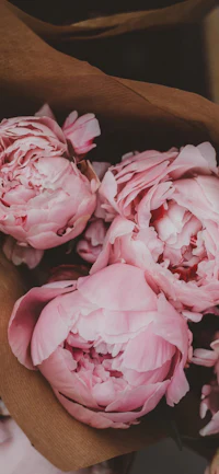 pink peonies in a brown paper bag