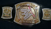 the wwe championship belt is shown on a black background