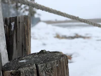 a wooden post covered in snow with a rope tied to it