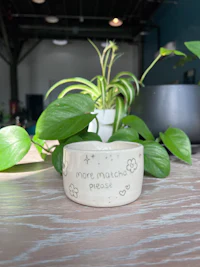 a ceramic planter with a plant on it