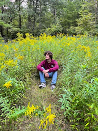 a man sitting in the middle of a field of yellow flowers