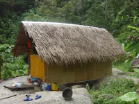 a small hut with a thatched roof sitting on top of a rock