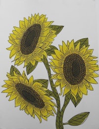 a drawing of sunflowers on a white background