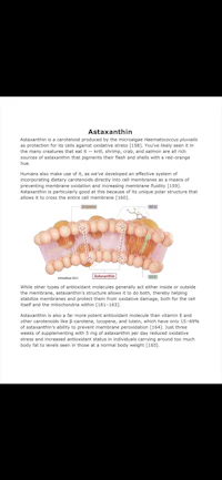 a diagram showing the anatomy of the stomach