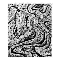 a black and white drawing of a swirling pattern