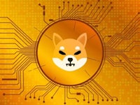 a dog's head on a circuit board