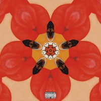 a red flower with a black flower in the middle