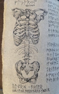 a book with a drawing of a skeleton on it