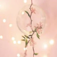 a pink wall with lights and a vase of flowers