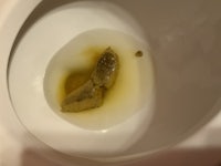 a toilet bowl with a piece of bread in it
