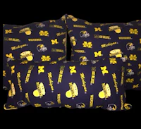 michigan wolverines throw pillows