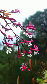 a tree with pink flowers in the background