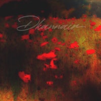 a field of red poppies with the word dhamia written on it