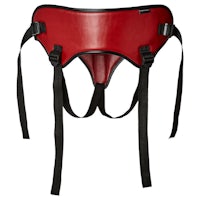 a red leather harness with black straps