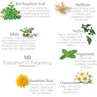 a poster showing the different types of herbs for pregnancy