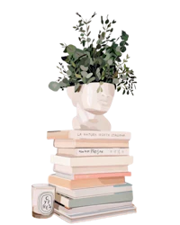 a stack of books with a plant on top
