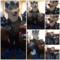 a series of pictures of a blue wolf mascot