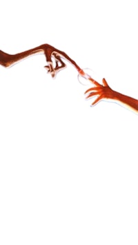 a pair of hands reaching out to each other