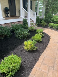 a front yard with black mulch and shrubs