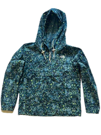 the north face hooded jacket in blue and green