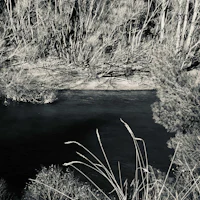 a black and white photo of a river